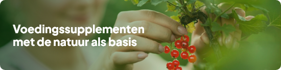 voedingssup